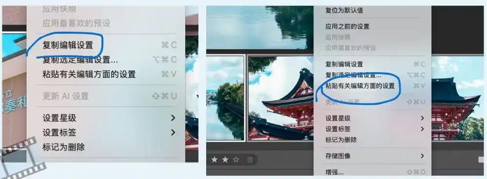 Bridge复制有关设置